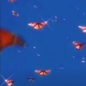 Meet your Posher, Ivory